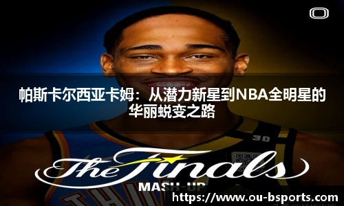 B体育